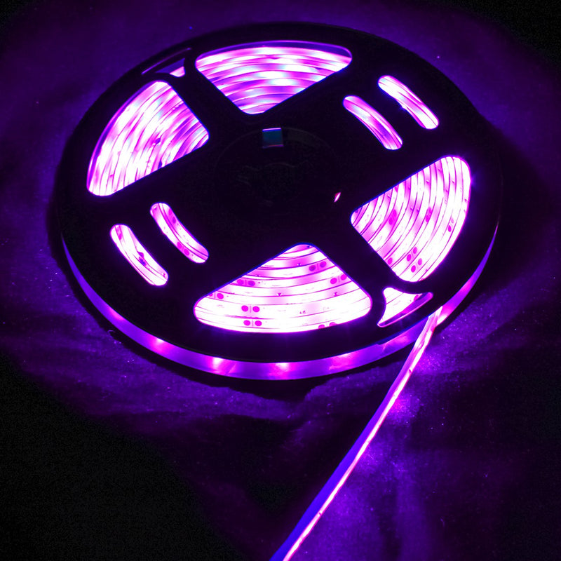 Fita Led 2835 Rolo 5 Metros 300leds Ip65 Dupla Face