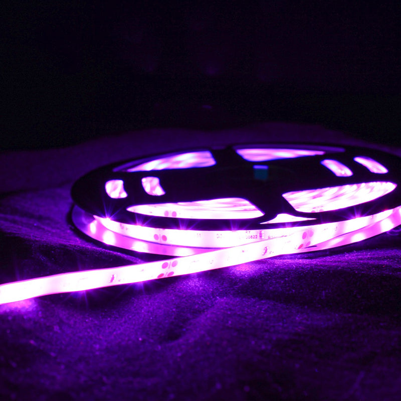 Fita Led 2835 Rolo 5 Metros 300leds Ip65 Dupla Face