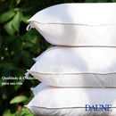 Travesseiros Daune 100% Pena De Ganso 50x70cm- Original