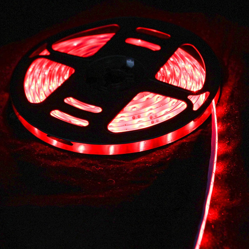 Fita Led 2835 Rolo 5 Metros 300leds Ip65 Dupla Face