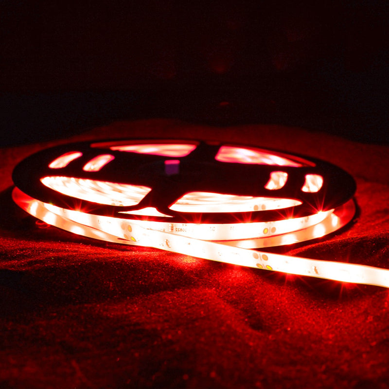 Fita Led 2835 Rolo 5 Metros 300leds Ip65 Dupla Face